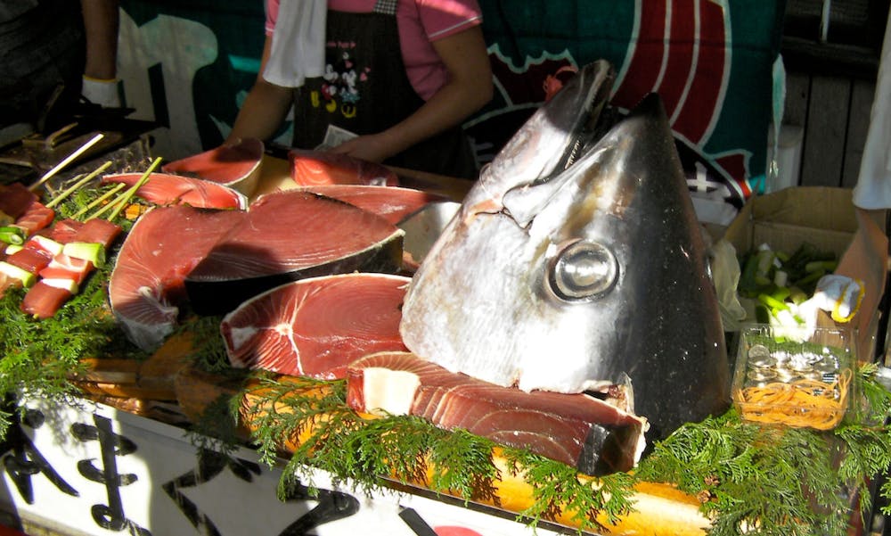 Store rovfisk som tun indeholder meget kviksølv. Foto: CCBY Chris Harber