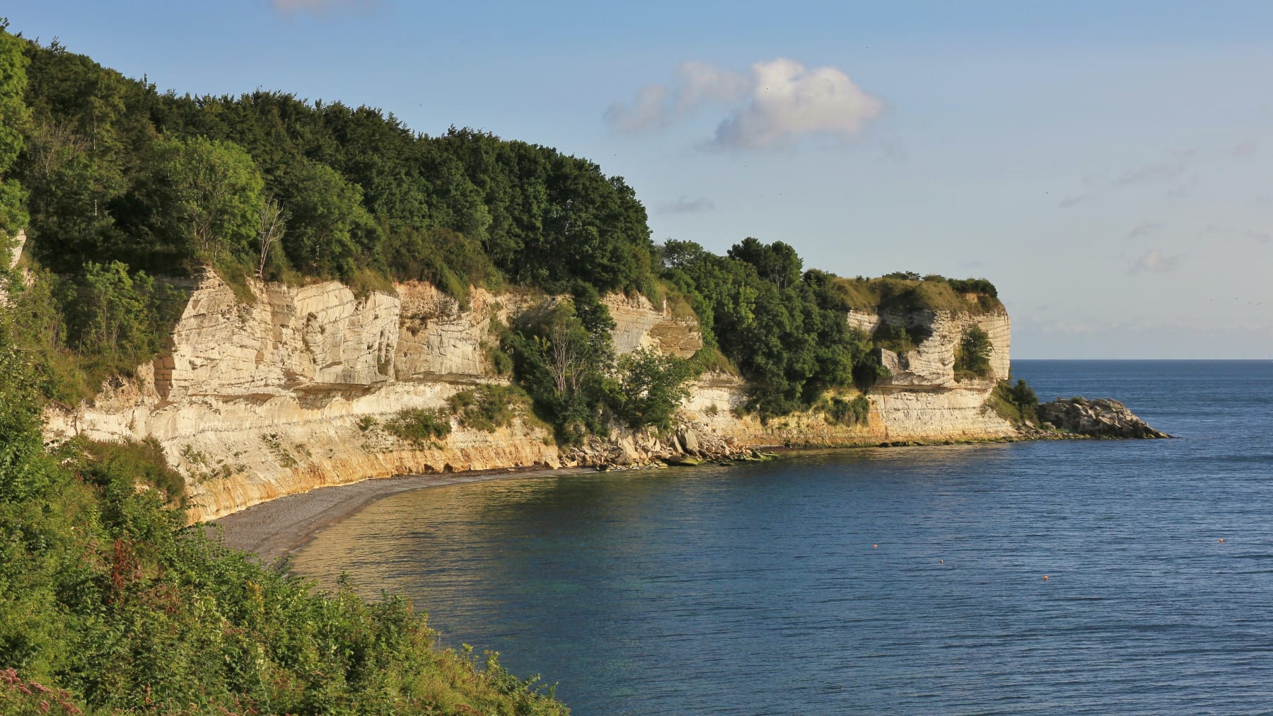 Stevns Klint er et af de få danske naturområder på UNESCOs Verdensarvsliste. 
